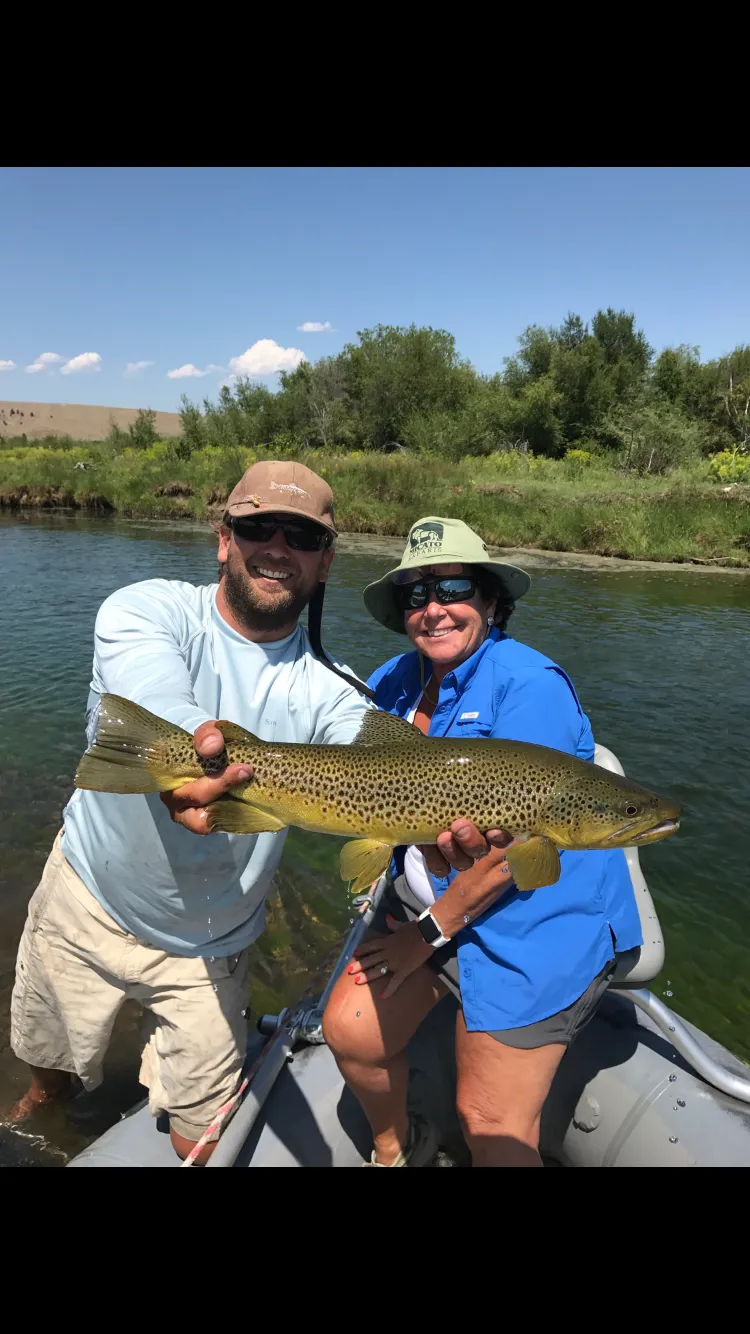 Blackfoot River with clear green water and forested banks
