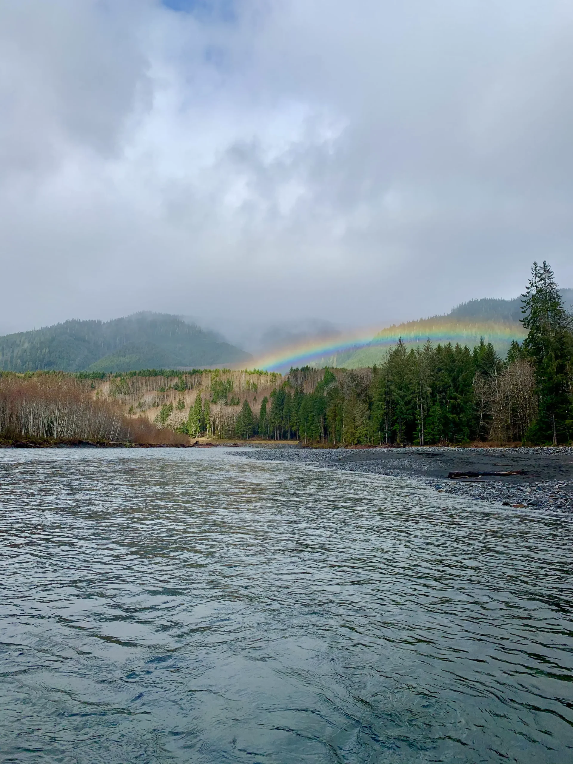 Steelhead tailout