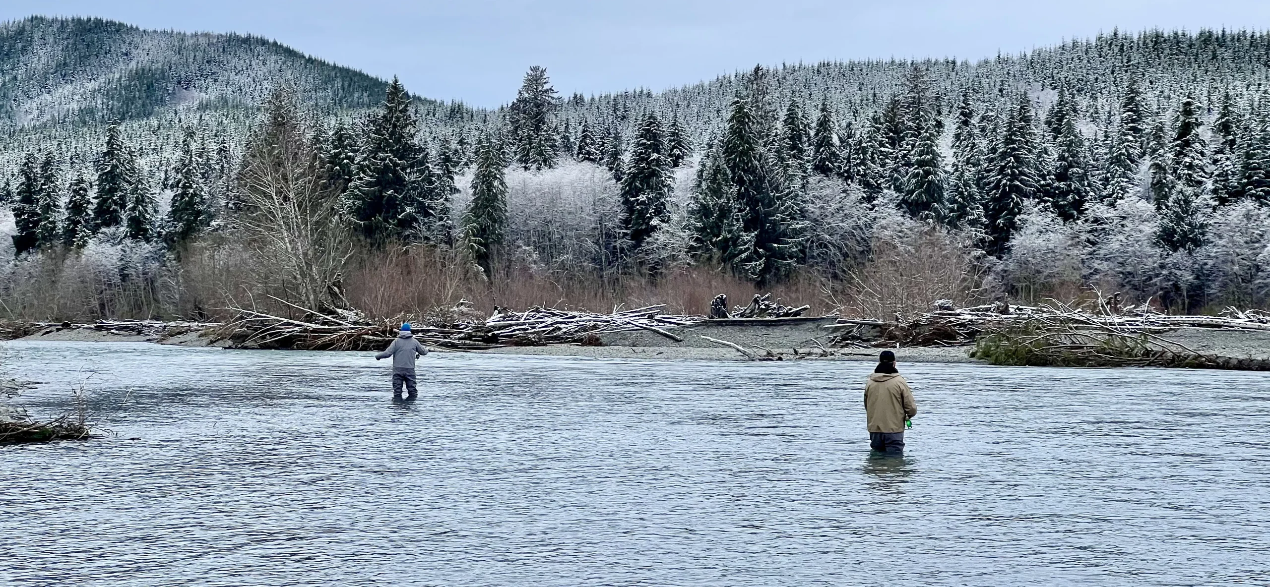 OP steelhead water